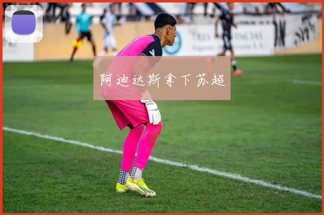 阿迪达斯拿下苏超