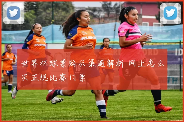 世界杯球票购买渠道解析 网上怎么买正规比赛门票