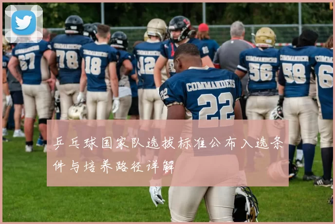 乒乓球国家队选拔标准公布入选条件与培养路径详解