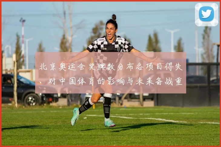 北京奥运会奖牌数分布各项目得失、对中国体育的影响与未来备战重点