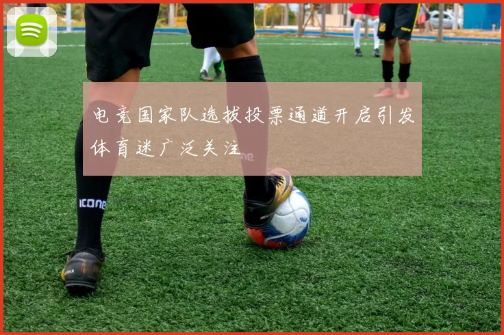 电竞国家队选拔投票通道开启引发体育迷广泛关注