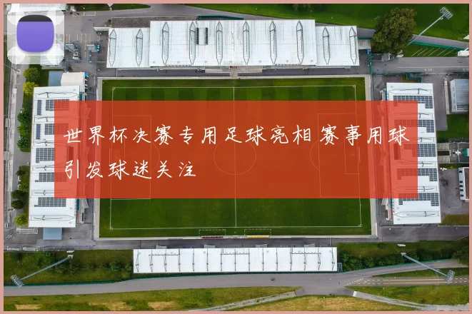 世界杯决赛专用足球亮相 赛事用球引发球迷关注