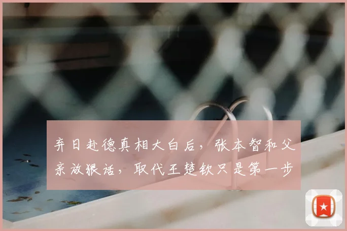 弃日赴德真相大白后，张本智和父亲放狠话，取代王楚钦只是第一步