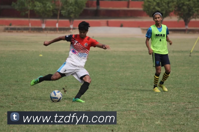 星空官网平台品牌故事