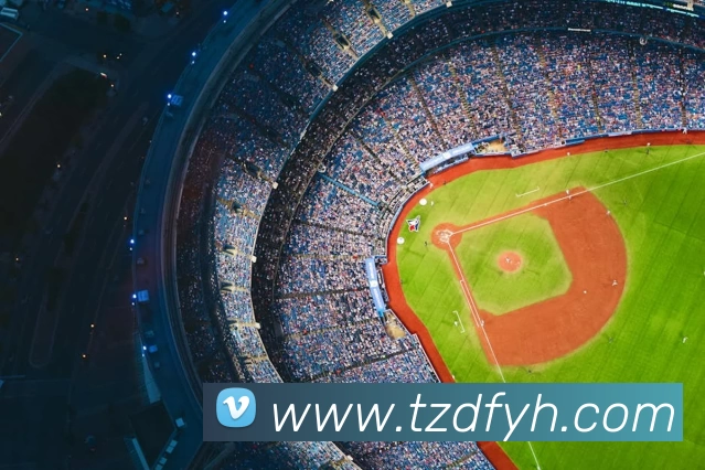 星空官网平台服务体系